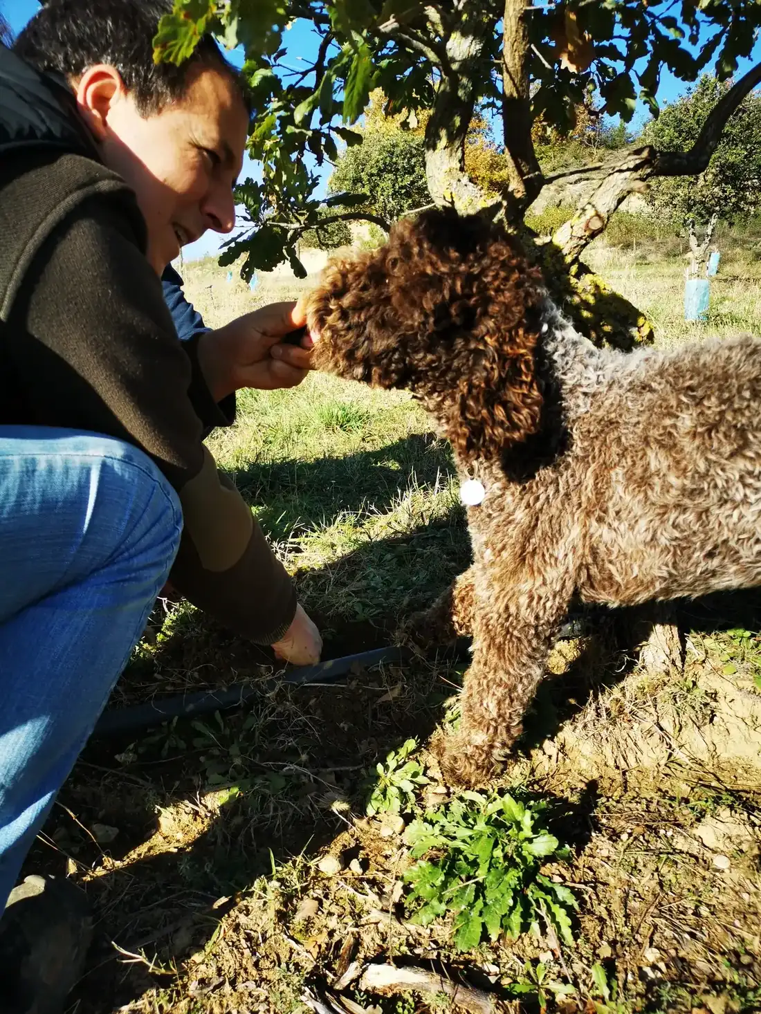 Un trufficulteur et son chien truffier