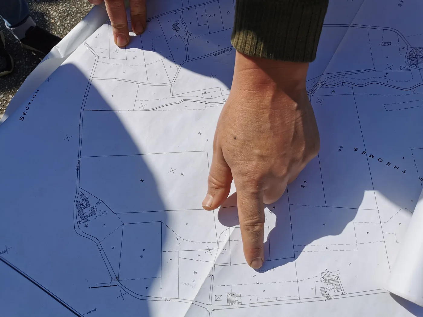 Plan cadastral d'une parcelle truffière