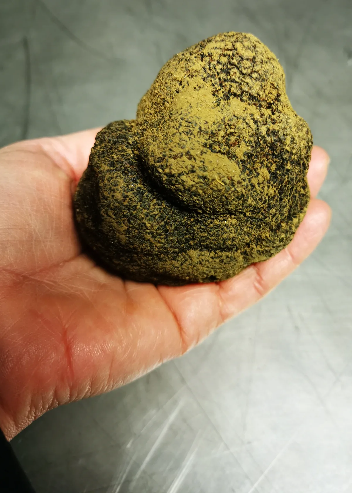 Truffe blanche