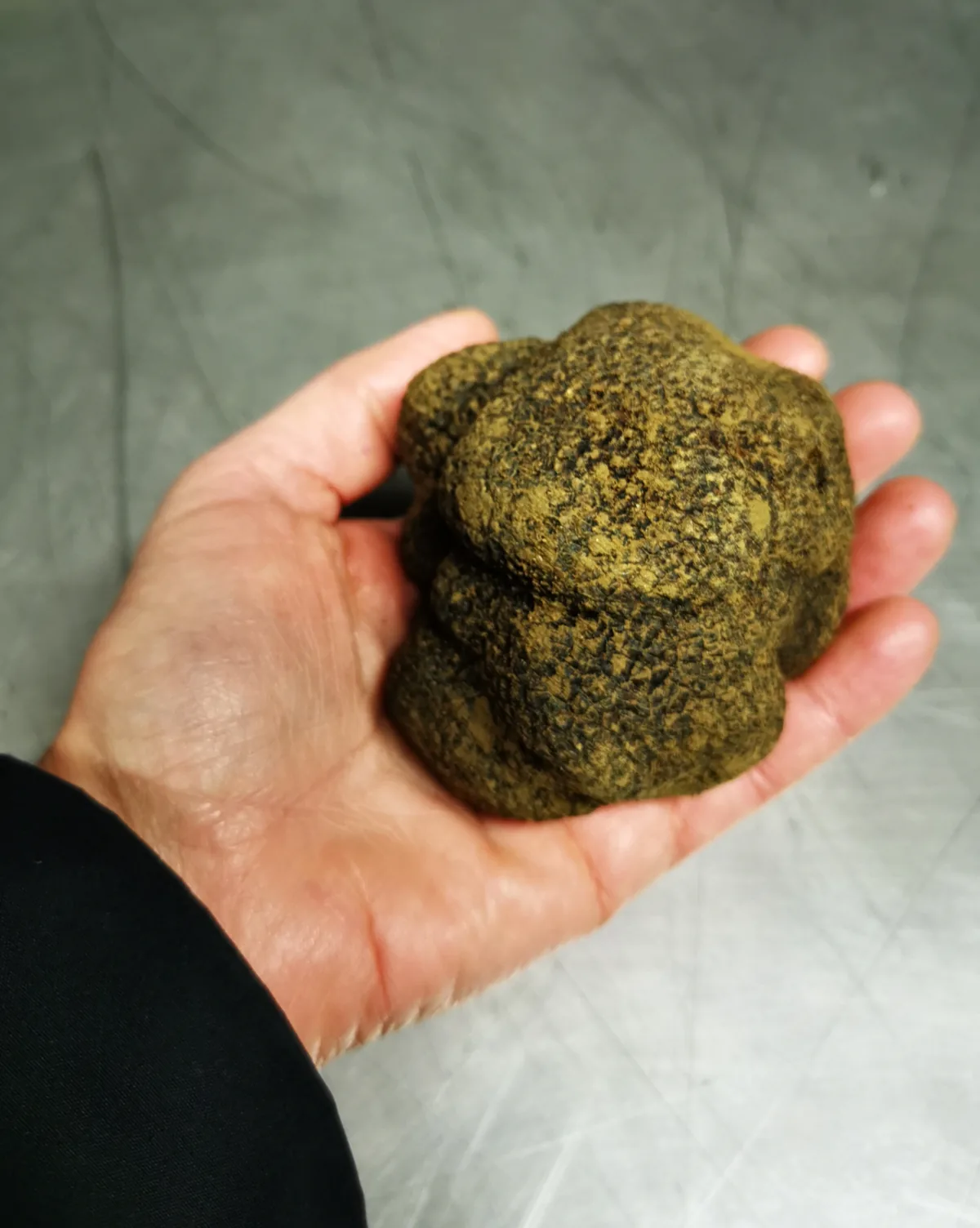 Truffe d'été