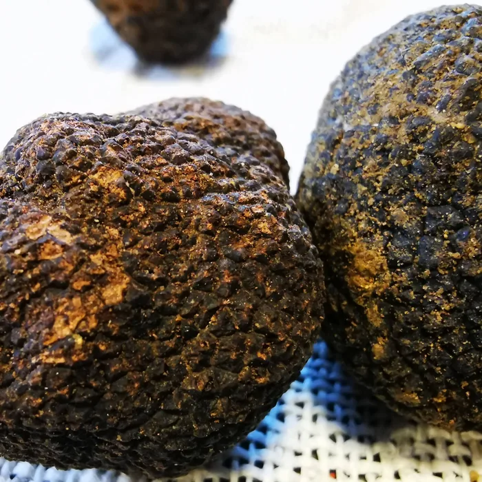 Truffe noire
