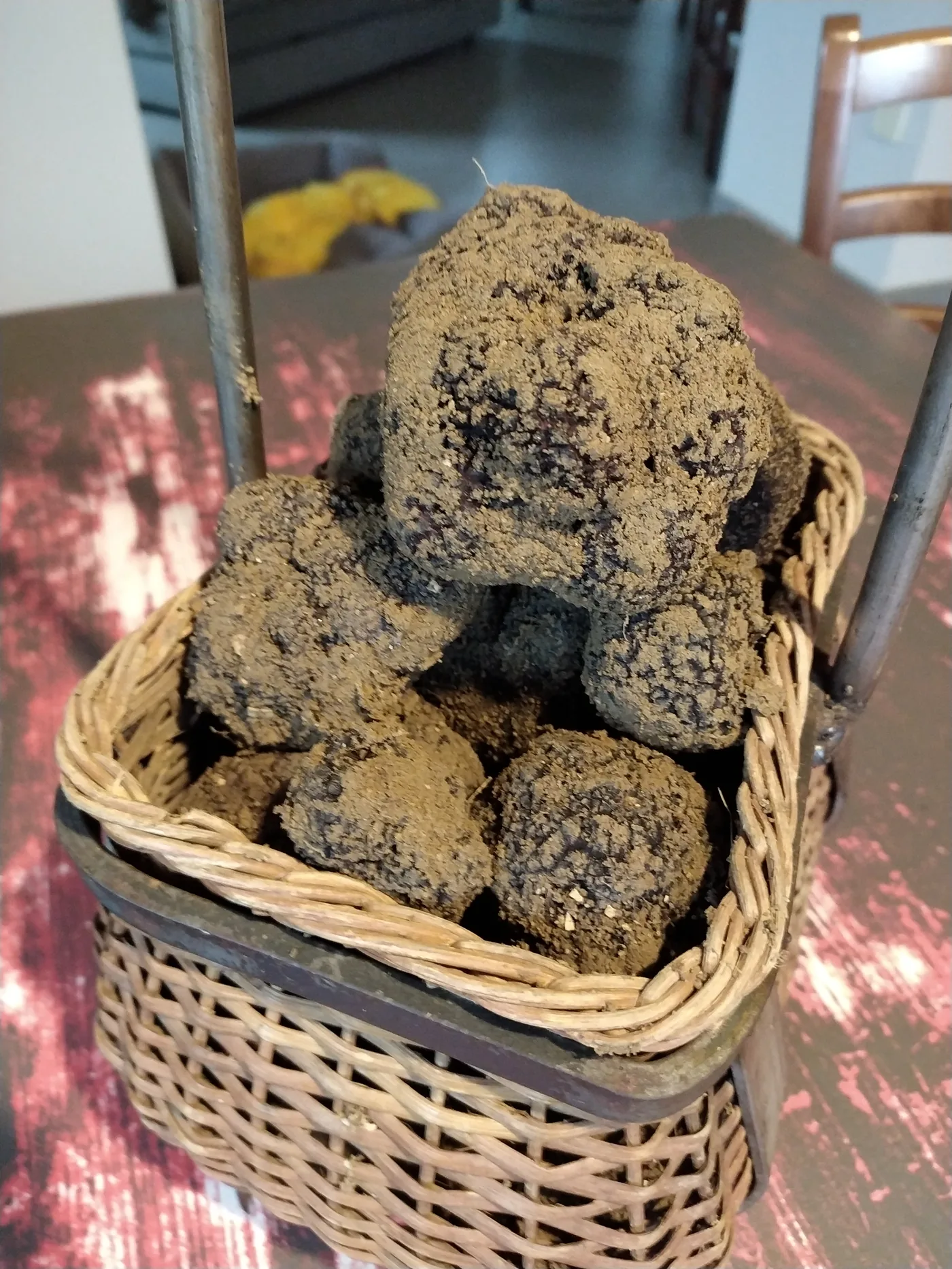Truffe de Bourgogne